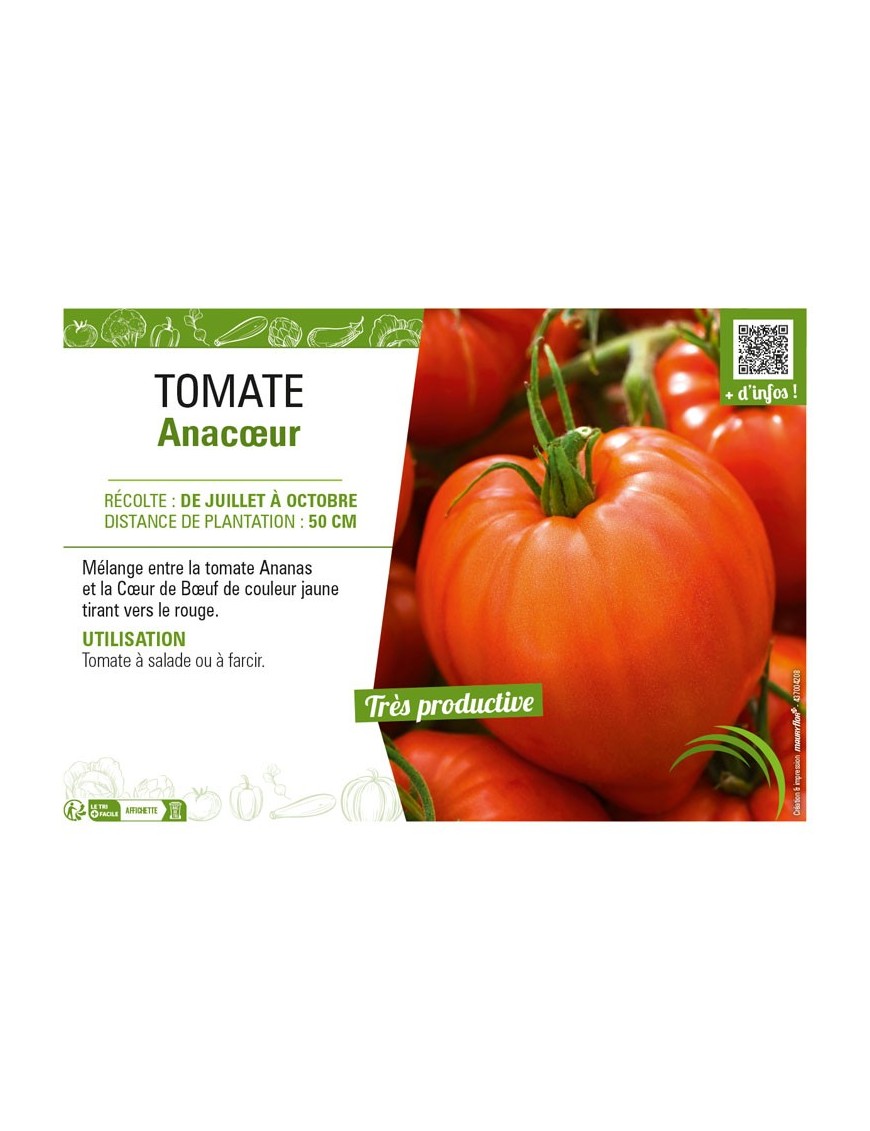 TOMATE ANACŒUR