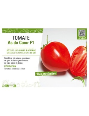 TOMATE AS DE CŒUR F1