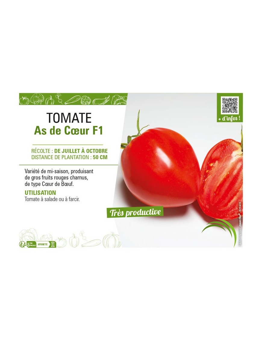 TOMATE AS DE CŒUR F1