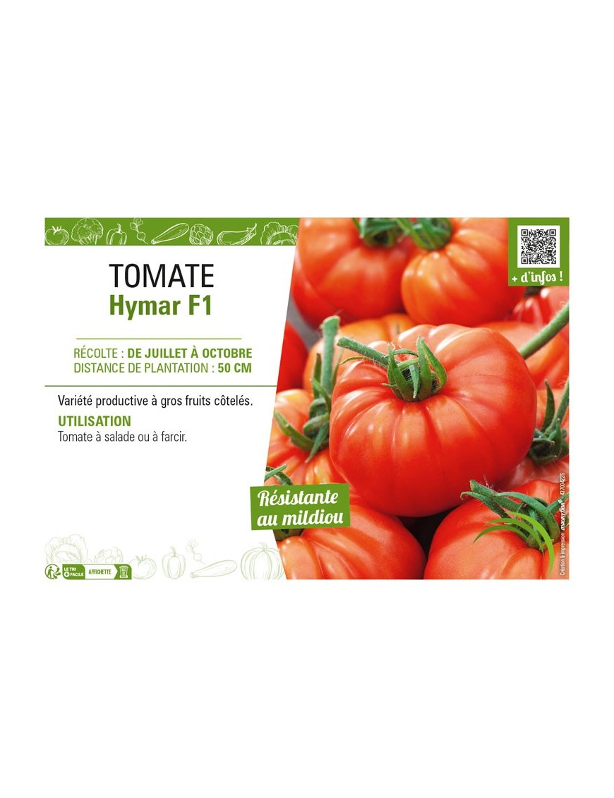 TOMATE HYMAR F1