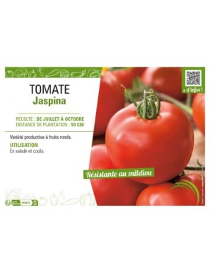 TOMATE JASPINA