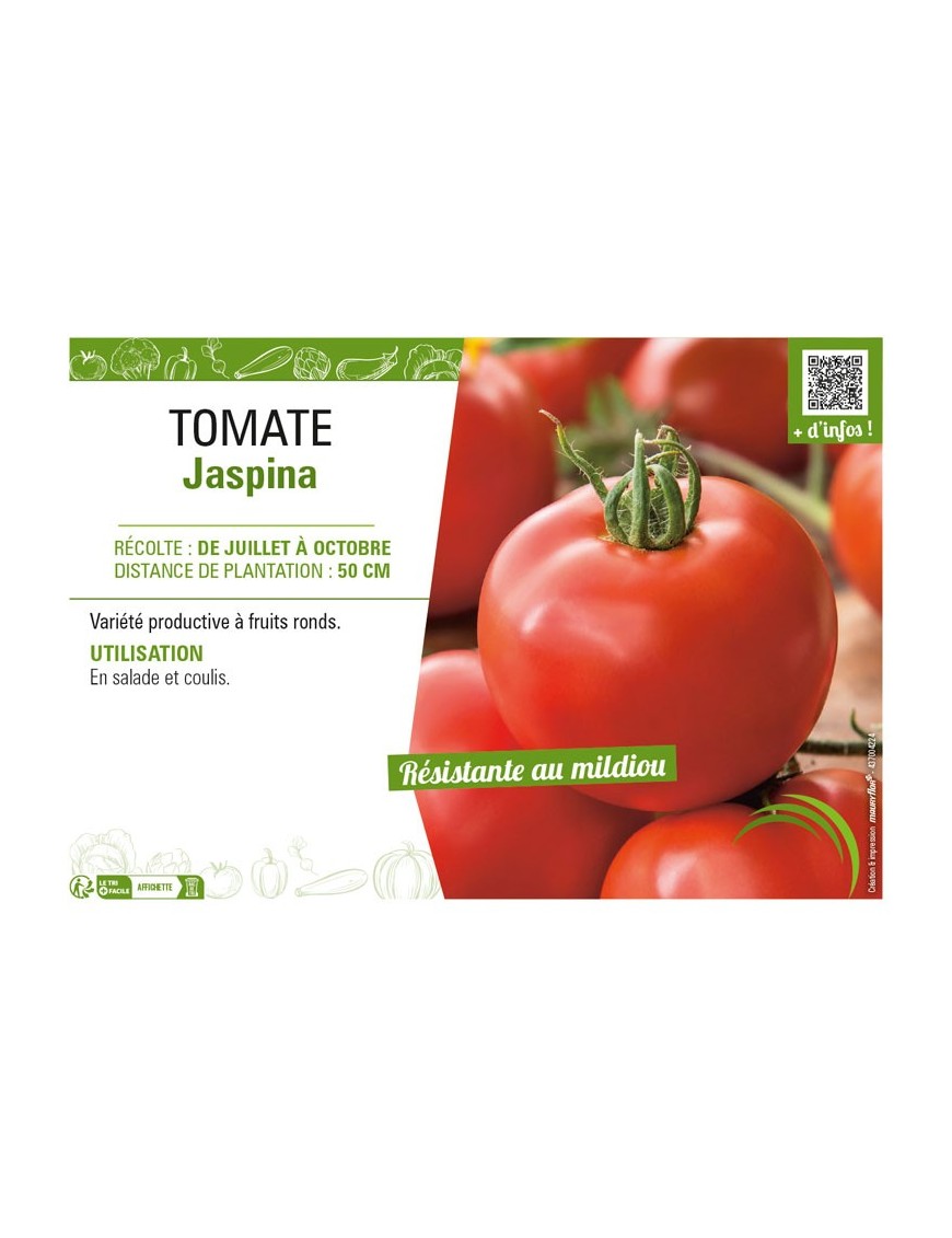 TOMATE JASPINA