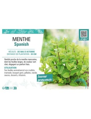 MENTHE SPANISH