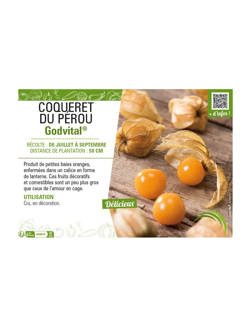 COQUERET DU PÉROU Godvital®