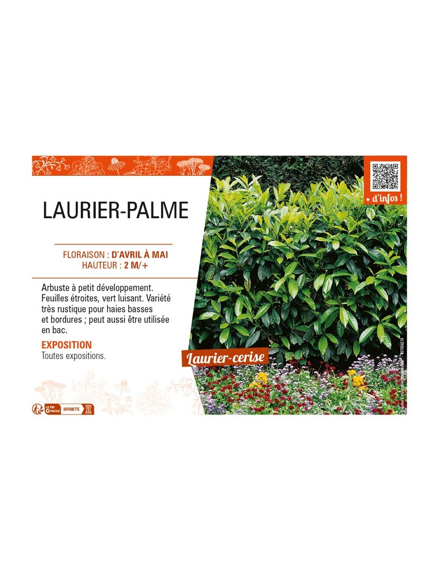 LAURIER-PALME