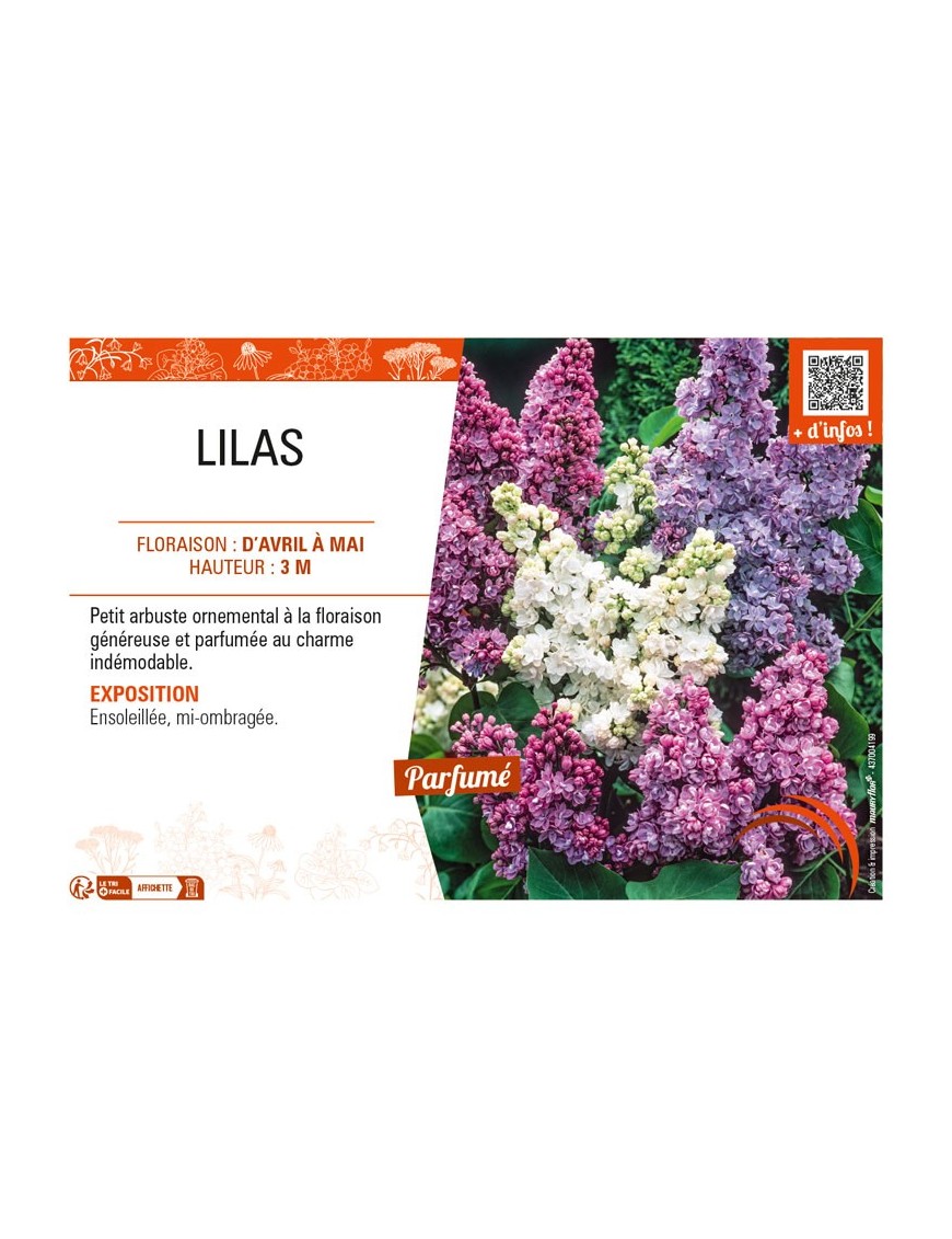 LILAS