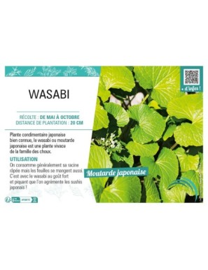 WASABI