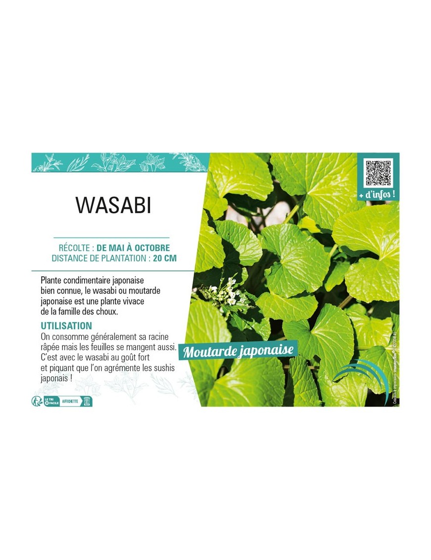 WASABI