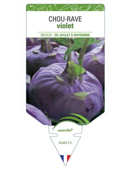 CHOU-RAVE VIOLET
