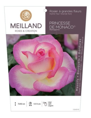 PRINCESSE DE MONACO ® Meimagarmic Rosier à grandes fleurs