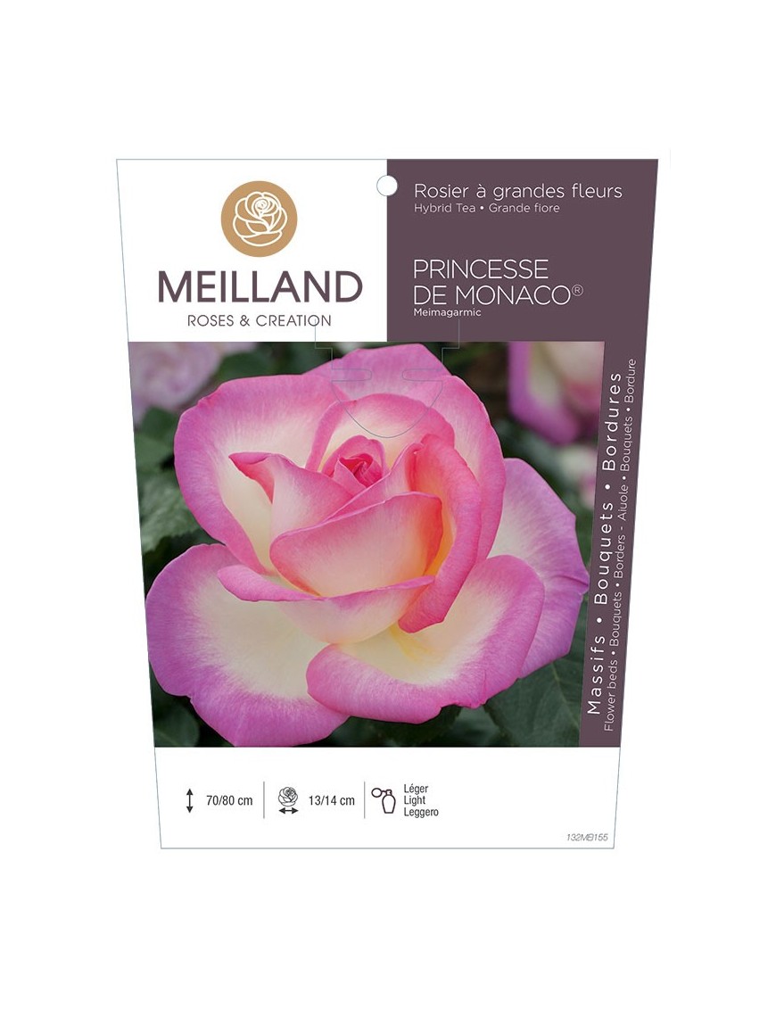 PRINCESSE DE MONACO ® Meimagarmic Rosier à grandes fleurs