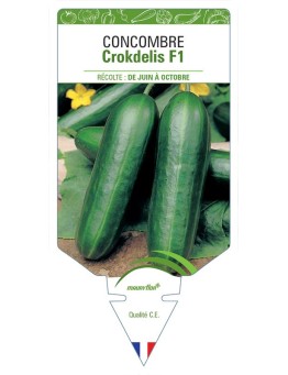 CONCOMBRE CROKDELIS F1
