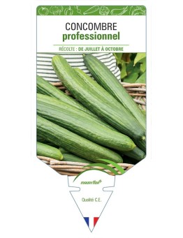 CONCOMBRE PROFESSIONNEL