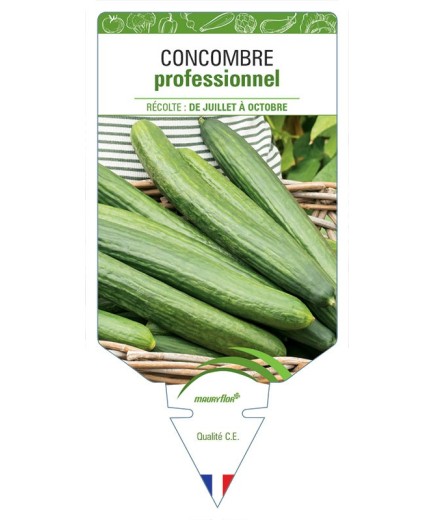 CONCOMBRE PROFESSIONNEL