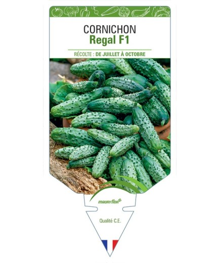 CORNICHON REGAL F1