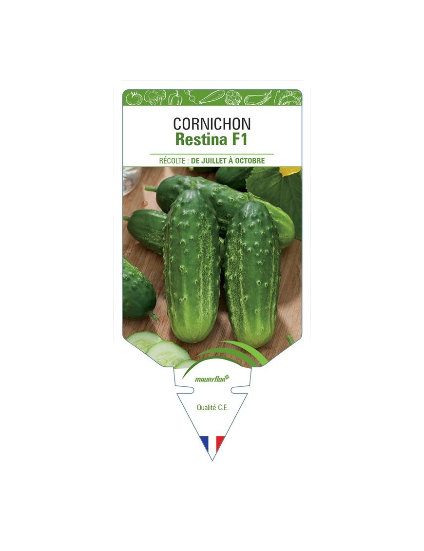 CORNICHON RESTINA F1