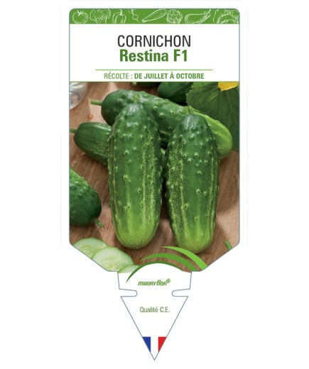 CORNICHON RESTINA F1