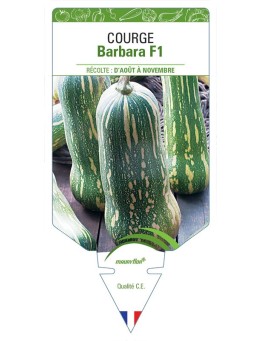 COURGE BARBARA F1