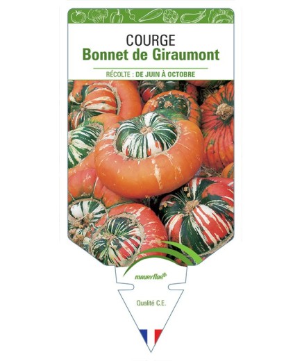 COURGE BONNET DE GIRAUMONT