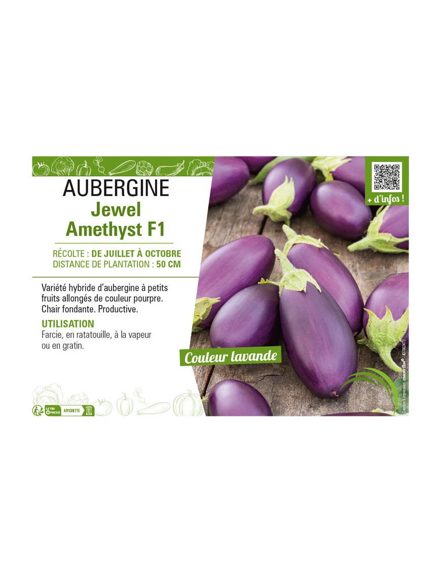 AUBERGINE JEWEL AMETHYST F1