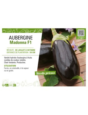 AUBERGINE MADONNA F1