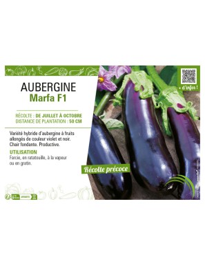 AUBERGINE MARFA F1