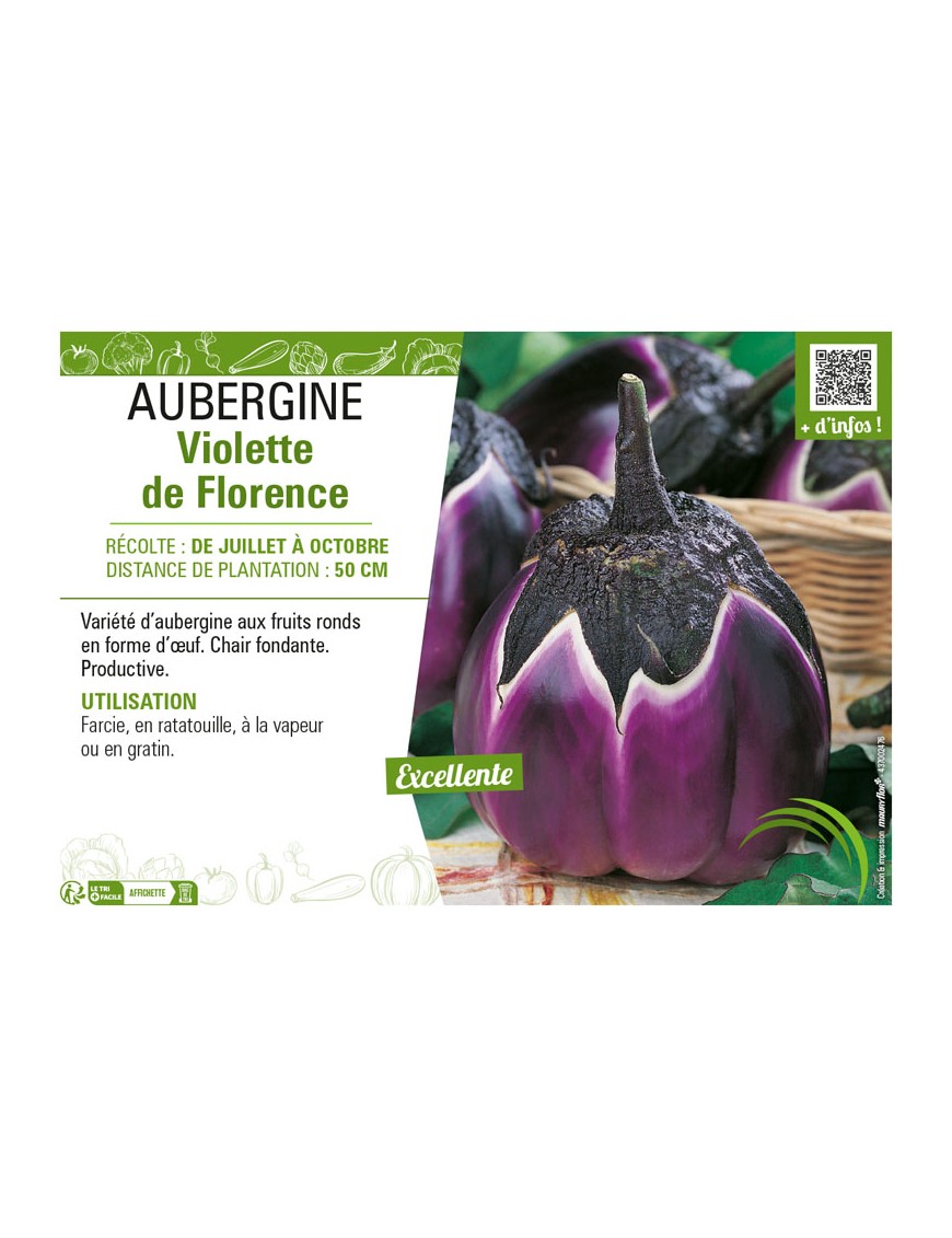 AUBERGINE VIOLETTE DE FLORENCE