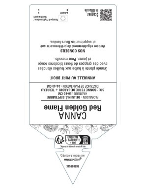 CANNA Red Golden Flame