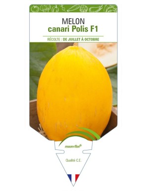 Melon canari Polis F1