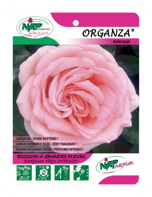 Organza® Aderopat