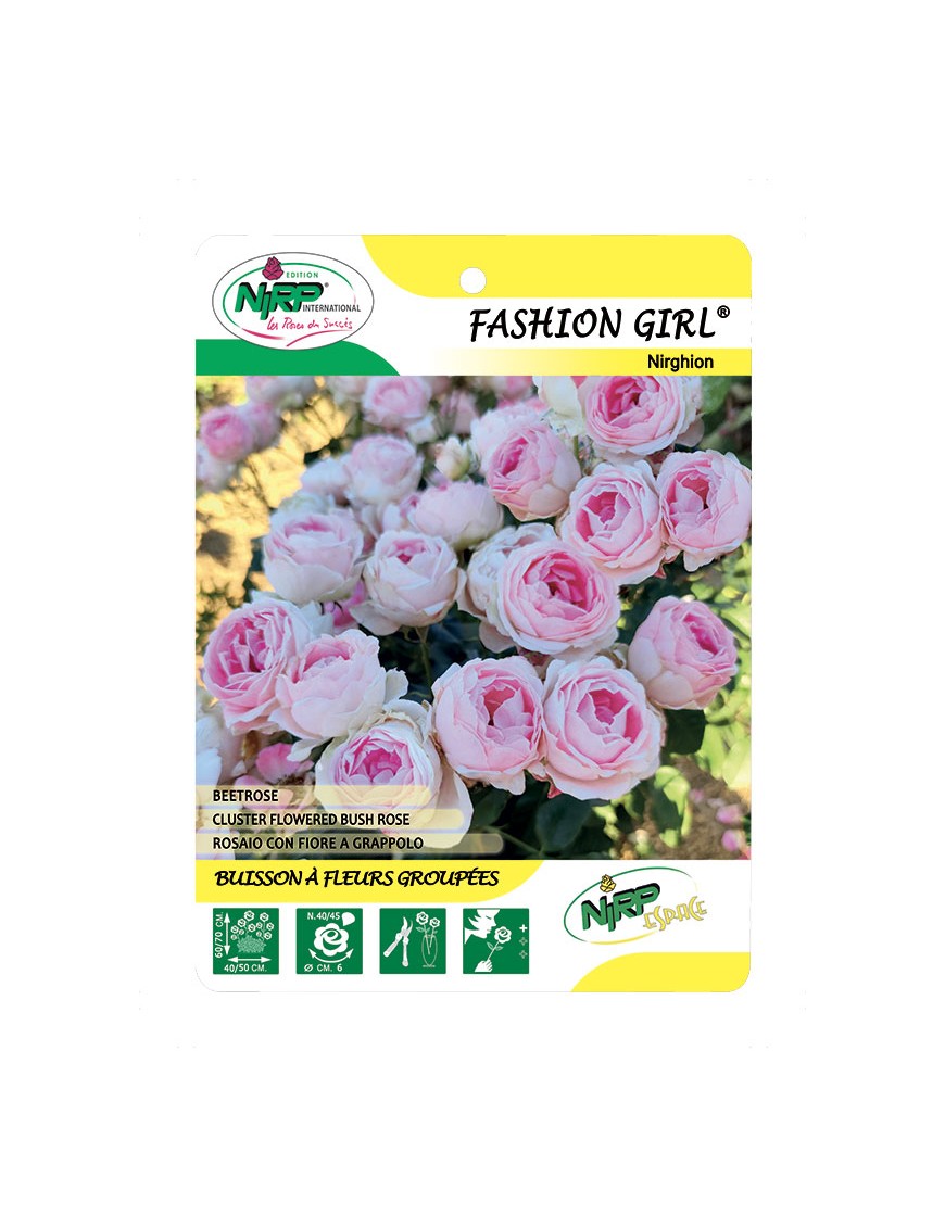 Fashion Girl® Nirghion