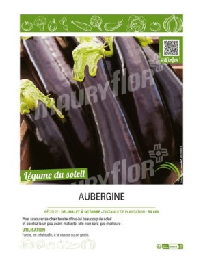 AUBERGINE (longue)