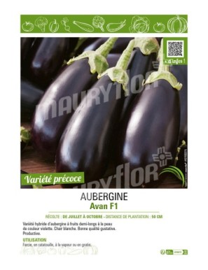 AUBERGINE AVAN F1