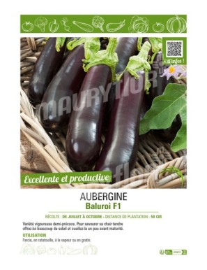 AUBERGINE BALUROI F1