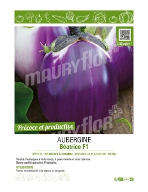 AUBERGINE BÉATRICE F1