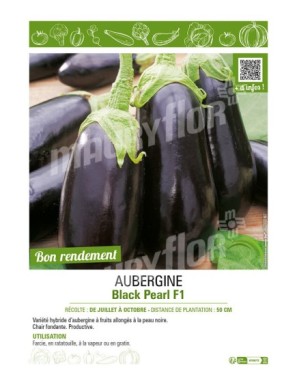 AUBERGINE BLACK PEARL F1