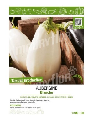 AUBERGINE BLANCHE