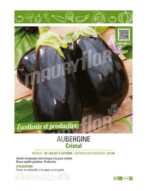 AUBERGINE CRISTAL