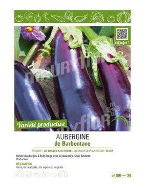 AUBERGINE DE BARBENTANE