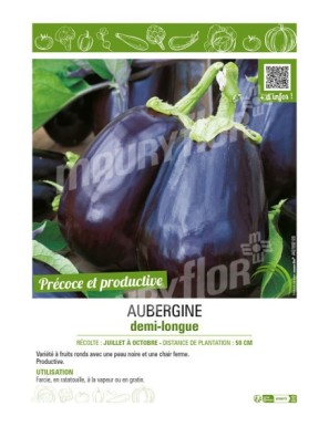 AUBERGINE DEMI-LONGUE