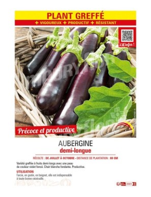 AUBERGINE DEMI-LONGUE Plant greffé