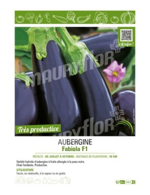 AUBERGINE FABIOLA F1