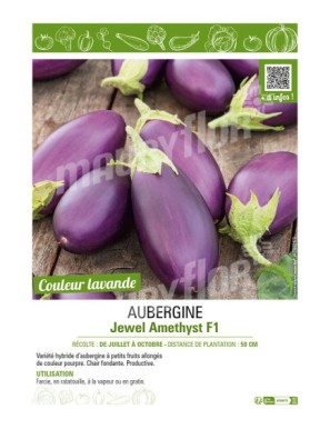 AUBERGINE JEWEL AMETHYST F1