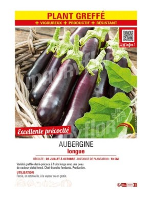 AUBERGINE LONGUE Plant greffé