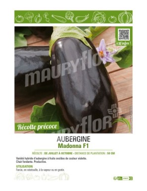 AUBERGINE MADONNA F1