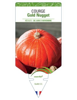 COURGE GOLD NUGGET