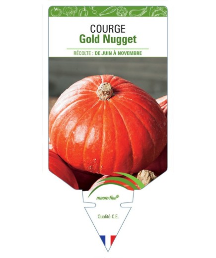COURGE GOLD NUGGET