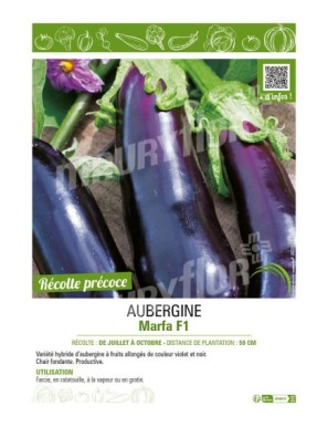 AUBERGINE MARFA F1