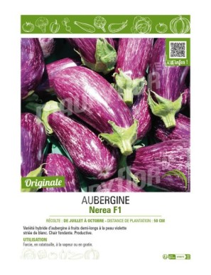 AUBERGINE NEREA F1