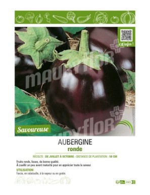 AUBERGINE RONDE